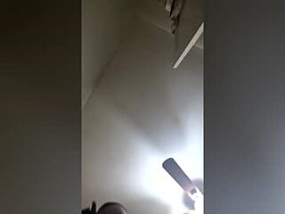 dragongecko live webcam thumbnail