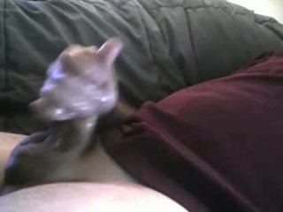 dryfly3782 live webcam thumbnail