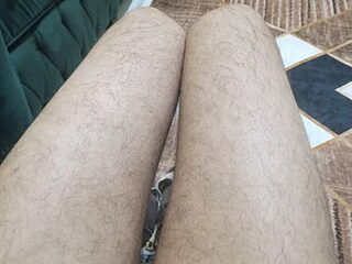 EgyptianHorse live webcam thumbnail