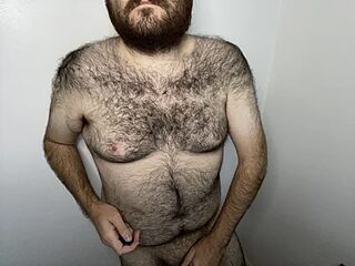 elagobear live webcam thumbnail
