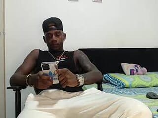 elamerikanohot live webcam thumbnail
