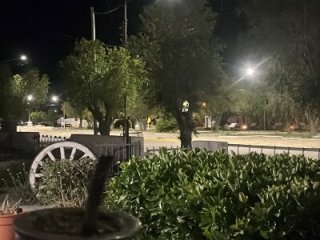 elu-dylan-17 live webcam thumbnail