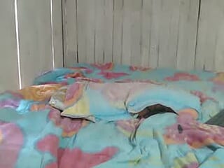 elvergon_brayan live webcam thumbnail