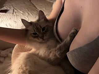 Euphoria_1 live webcam thumbnail