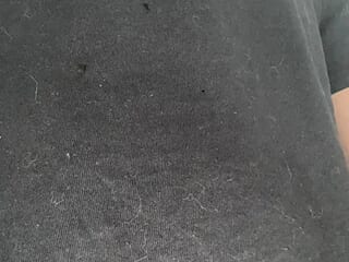 expenoirworld live webcam thumbnail