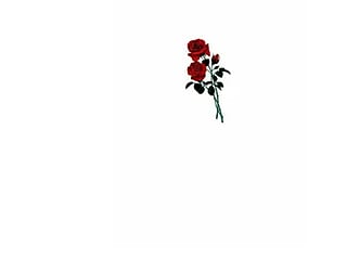 FlordeLotuxxx live webcam thumbnail