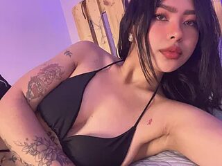 Fryeren live webcam thumbnail