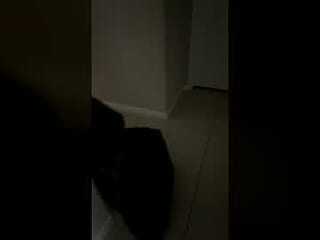 francoburg live webcam thumbnail
