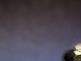funsunny live webcam thumbnail