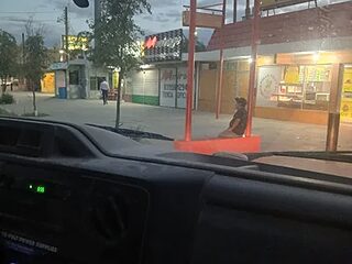 Fys82 live webcam thumbnail