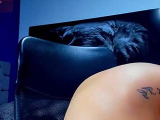 gael_reid live webcam thumbnail