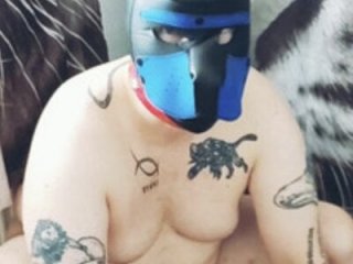 gaywolf426 live webcam thumbnail