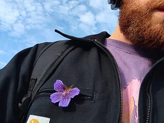 Gingerbeardblower live webcam thumbnail