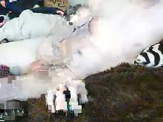 giddy84 live webcam thumbnail