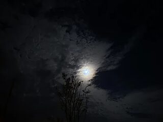 Gomesmrt live webcam thumbnail