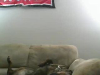 gooch99673388 live webcam thumbnail