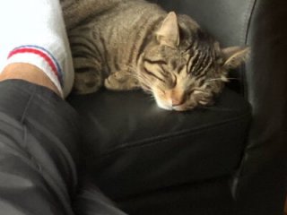greggts live webcam thumbnail