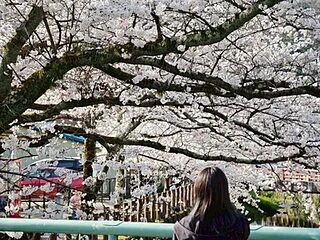 Hazuki_love__ live webcam thumbnail