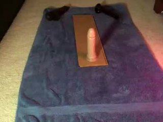 hamtaco1 live webcam thumbnail
