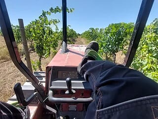 han_c0ck live webcam thumbnail