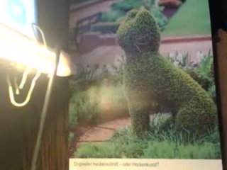 helvella live webcam thumbnail