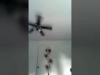 hexamillion live webcam thumbnail