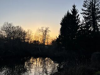 hippooooo8765 live webcam thumbnail