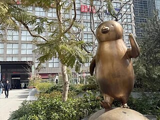 hirooo live webcam thumbnail