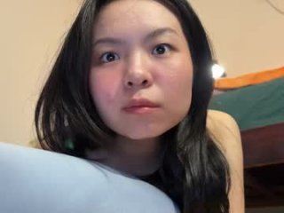 hola_sunflower live webcam thumbnail