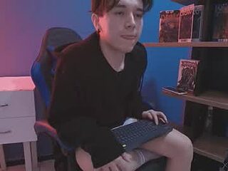 hollannd_ live webcam thumbnail