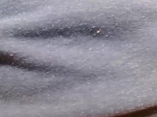 hornypilotguy live webcam thumbnail