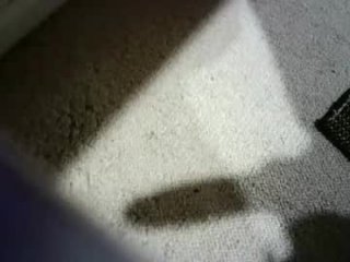 hypeman2323 live webcam thumbnail