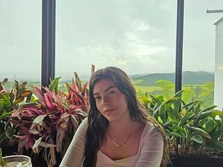 IrisBound live webcam thumbnail