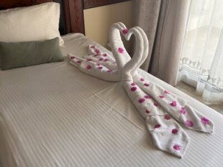 jaaako970 live webcam thumbnail