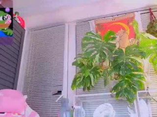 jelyaa live webcam thumbnail