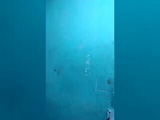jg1670239 live webcam thumbnail
