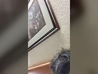 joselin2313 live webcam thumbnail