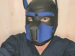 JPdog0123 live webcam thumbnail