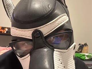 jthking live webcam thumbnail