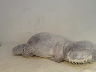 julyanarains live webcam thumbnail