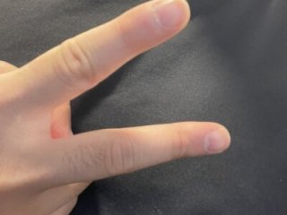 Kakushi_dori live webcam thumbnail