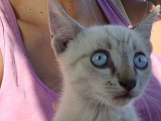 KamillaSpencer live webcam thumbnail