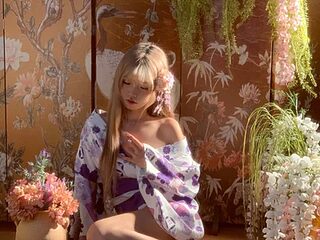 KG-888 live webcam thumbnail