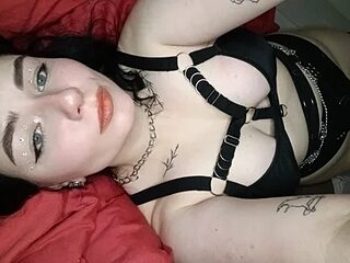 Kitty-Katty live webcam thumbnail