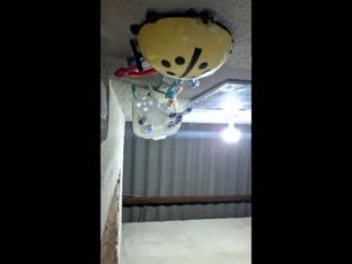 kingleo2205 live webcam thumbnail