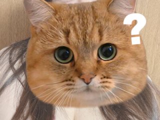 kitty_cham live webcam thumbnail