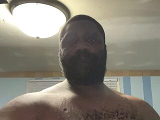 KOdaLion live webcam thumbnail