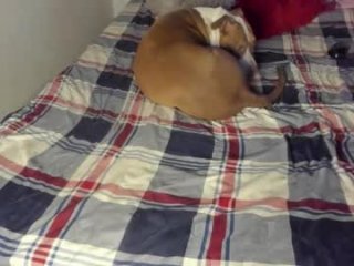 ladahear_ live webcam thumbnail