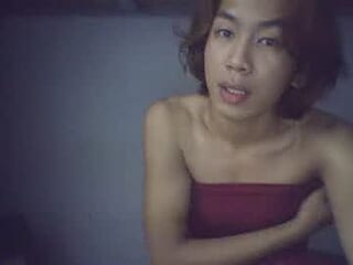 laerydd live webcam thumbnail