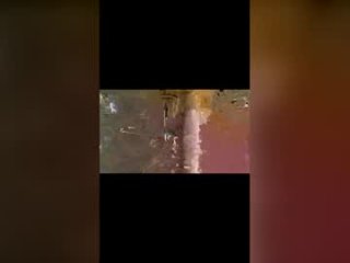 latinbulldaddy88036 live webcam thumbnail